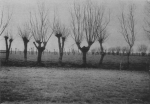 Wery (1908, foto 25) Wery (1908, foto 25)