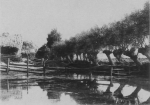 Wery (1908, foto 28) Wery (1908, foto 28)
