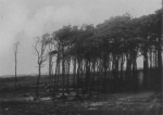 Wery (1908, foto 43) Wery (1908, foto 43)
