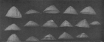 Wery (1908, pl. 22 A.) Wery (1908, pl. 22 A.)