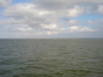 Belgische mosselkweek
