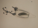 Corymorpha bigelowi