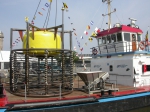 Mosselkooi