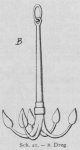 Bly (1902, fig. 21)