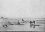de Spot (1942, foto 10) de Spot (1942, foto 10)