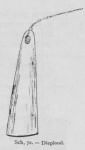 Bly (1902, fig. 72) Bly (1902, fig. 72)