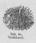 Bly (1902, fig. 80) Bly (1902, fig. 80)