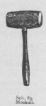 Bly (1902, fig. 83) Bly (1902, fig. 83)
