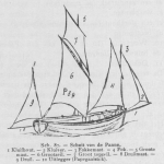 Bly (1902, fig. 87) Bly (1902, fig. 87)