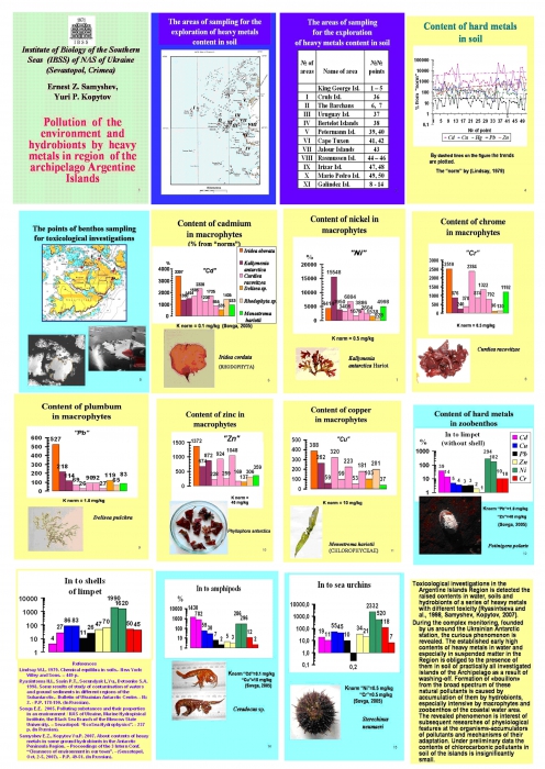 Pollution of the environment and hydrobionts by heavy metals in region of the archipelago Argentina islands