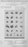 Bucquoy, E.; Dautzenberg, Ph.; Dollfus, G. (1882). Les Mollusques marins du Roussillon: 1. Gastropodes avec atlas de 66 planches photographiées d'après nature. J.-B. Baillière & Fils: Paris. 570, 66 plates pp. Bucquoy, E.; Dautzenberg, Ph.; Dollfus, G. (1882). Les Mollusques marins du Roussillon: 1. Gastropodes avec atlas de 66 planches photographiées d'après nature. J.-B. Baillière & Fils: Paris. 570, 66 plates pp.