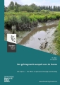 Een geïntegreerde aanpak voor de Durme: sub report 7. The effect of upstream discharge and flushing