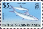 Albula vulpes