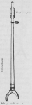 Bly (1902, fig. 31) Bly (1902, fig. 31)