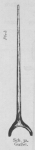 Bly (1902, fig. 32) Bly (1902, fig. 32)