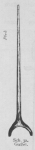 Bly (1902, fig. 32)