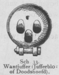 Bly (1902, fig. 33) Bly (1902, fig. 33)