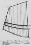 Bly (1902, fig. 34) Bly (1902, fig. 34)