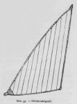 Bly (1902, fig. 35) Bly (1902, fig. 35)