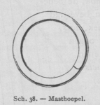 Bly (1902, fig. 38) Bly (1902, fig. 38)