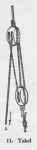 Derolez (1950, fig. 11) Derolez (1950, fig. 11)