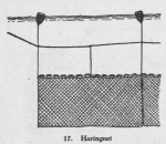 Derolez (1950, fig. 17) Derolez (1950, fig. 17)