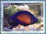 Centropyge bispinosa