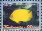 Centropyge heraldi