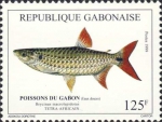 Brycinus macrolepidotus