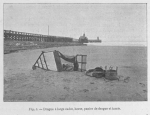 Gilson (1900, fig. 5) Gilson (1900, fig. 5)