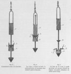 Gilson (1900, fig. 7, 8 & 9) Gilson (1900, fig. 7, 8 & 9)