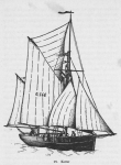Derolez (1950, fig. 25) Derolez (1950, fig. 25)