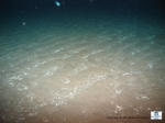 Sand waves with some coral rubble