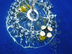 JPG file