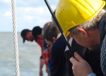 ILVO aan het werk op de Zeeleeuw