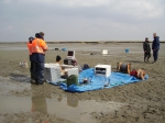 TNO-Delft & VLIZ op Saeftinghe