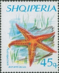 Stekelhuidigen