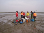 TNO-Delft & VLIZ op Saeftinghe