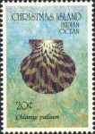 Chlamys pallium