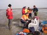 TNO-Delft & VLIZ op Saeftinghe