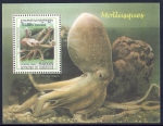 Eledone aldrovandi