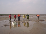 TNO-Delft & VLIZ op Saeftinghe