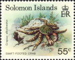 Grapsus albolineatus