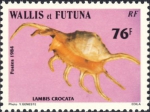 Lambis crocata