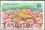 Lysmata grabhami