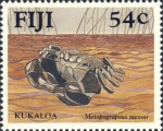Metopograpsus messor