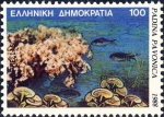 Padina pavonia