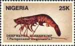 Parapenaeus longirostris