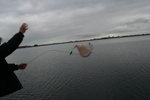 Harmful Micro Algae Hands-on Workshops
