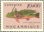 Dactyloptena orientalis